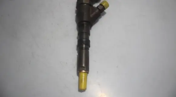 Citroen C5 Fuel injector 0445110076