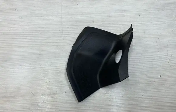 Rear/tail light trim molding