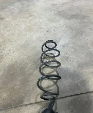 Rear coil spring