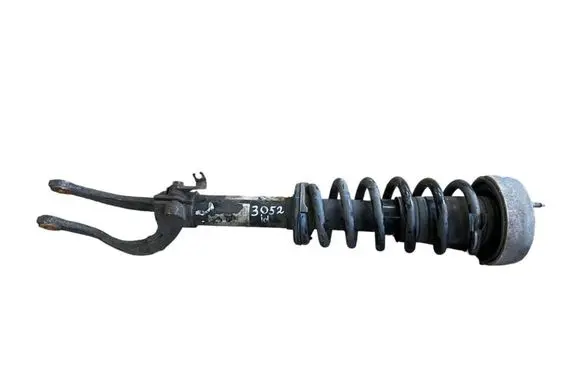 BMW X5 E70 Front shock absorber with coil spring 31316781920 14941510 6781920