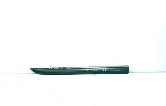 Rear door trim (molding)