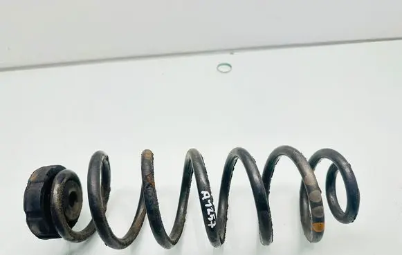Rear coil spring
