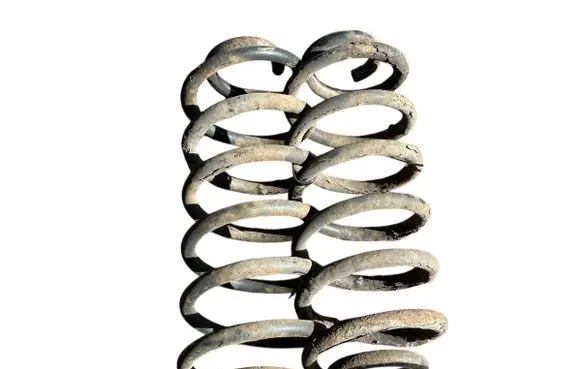 Rear coil spring