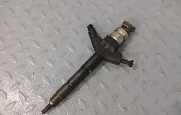 Nissan Murano Z51 Fuel injector 166005X00A