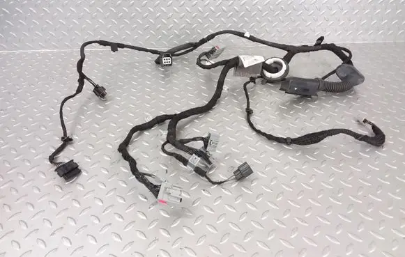 Land Rover Range Rover Sport L494 Front door wiring loom DK6214630 A50091406 A50092669