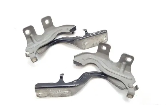 Nissan Murano Z51 Engine bonnet/hood hinges 1AAL