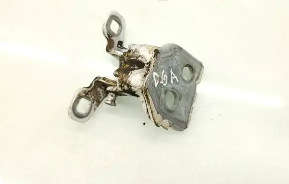 Dacia Duster II Rear door lower hinge 