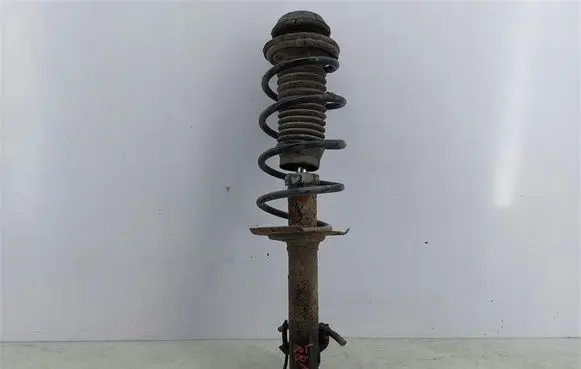 Peugeot 107 Front shock absorber with coil spring 