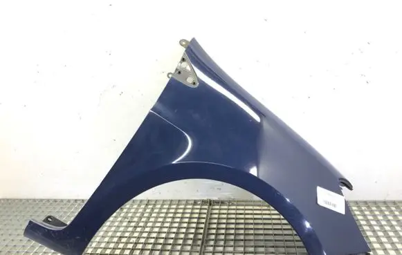 Renault Clio III Fender