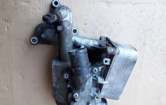 Renault Scenic II - Grand scenic II Oil filter mounting bracket 81620654 3280 FL513