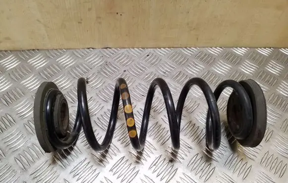 Rear coil spring