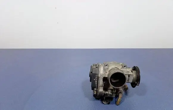 Chevrolet Aveo Throttle body valve 