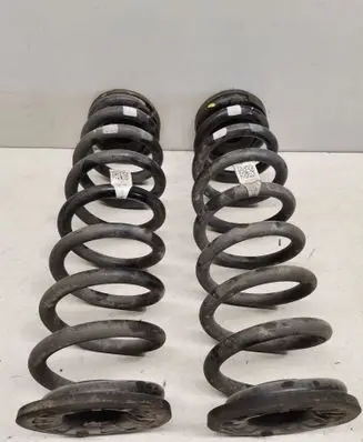 Rear coil spring