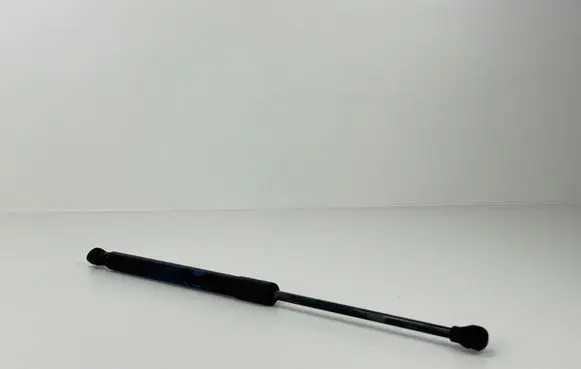 Tailgate strut
