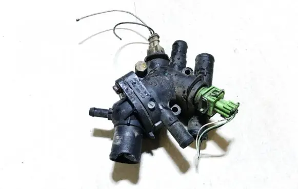 Renault Scenic I Engine coolant pipe/hose 8200065390 8200065392