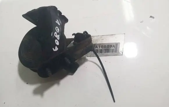 Volkswagen PASSAT B5.5 Horn signal 