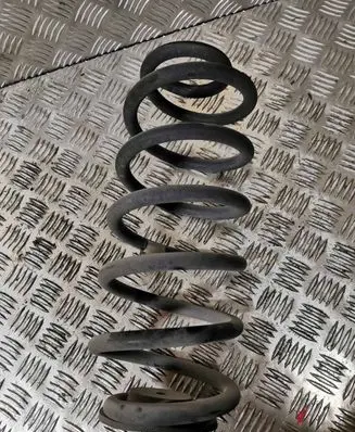 Cadillac Escalade IV Rear coil spring 23152540