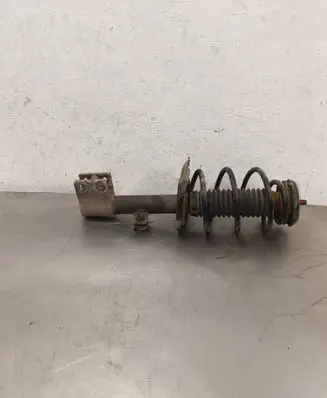 Citroen C4 II Front shock absorber with coil spring