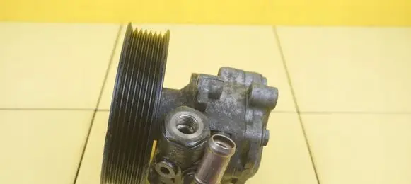 Volkswagen Touareg I Power steering pump 07D145156E 25SP24