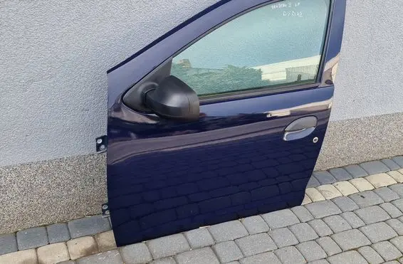 Dacia Sandero II Front door 