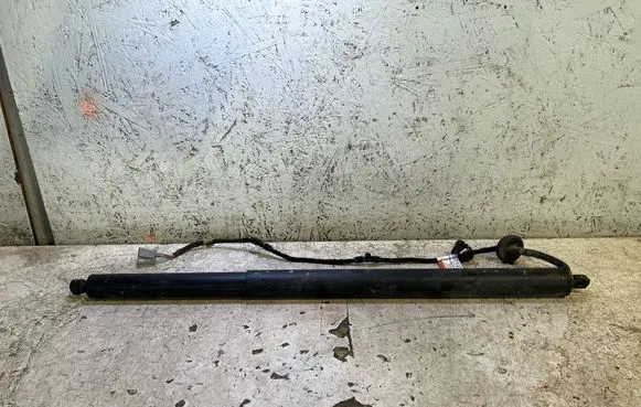 Tailgate/trunk strut/damper