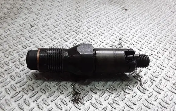 Peugeot 206 Fuel injector LCR6736001