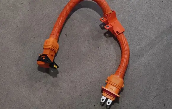 KIA EV6 Other wiring loom 91981GI100