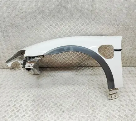 Porsche Taycan 9J1 Fender 9J1821101AY