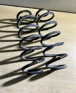 Rear coil spring