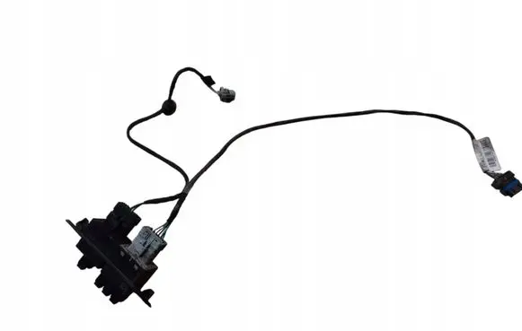 Renault Kangoo II Loading door lock 8200809171