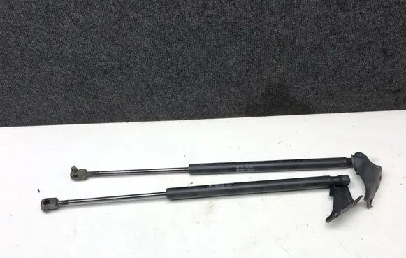 Tailgate/trunk strut/damper