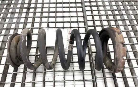 Rear coil spring
