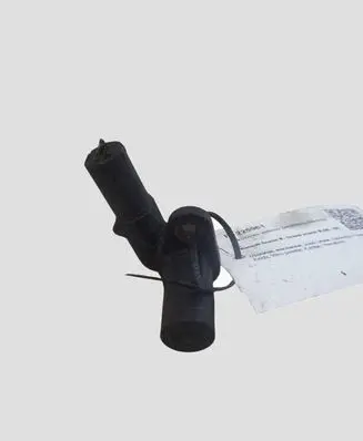 Renault Scenic II - Grand scenic II Crankshaft position sensor 197589