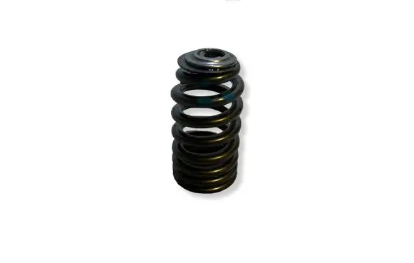 Dodge Challenger Rear coil spring 
