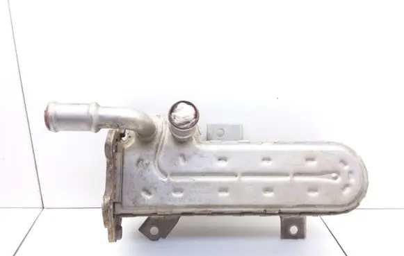 Volkswagen Golf V EGR valve cooler 038131513AD