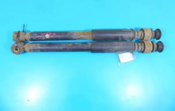 Renault Clio II Rear shock absorber/damper IMPRK1219314