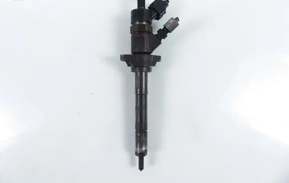 Citroen Berlingo Fuel injector 0445110239