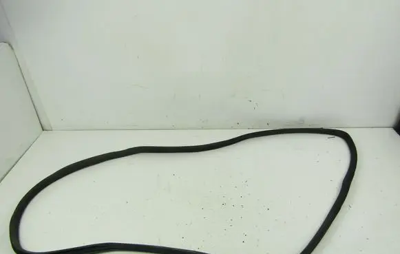 Volkswagen Sharan Front door rubber seal 