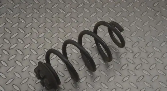 Nissan Juke I F15 Rear coil spring