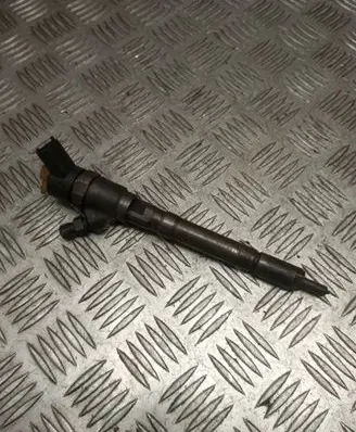 Hyundai Santa Fe Fuel injector 0445110064 338007000