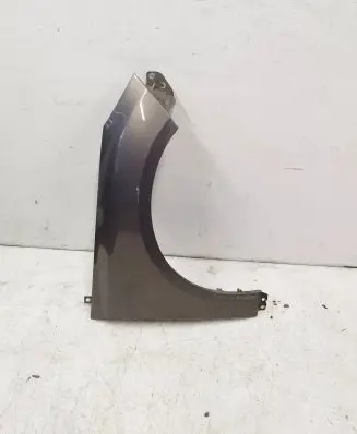 Ford Focus Fender