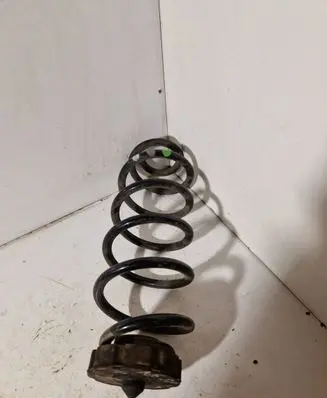 Rear coil spring