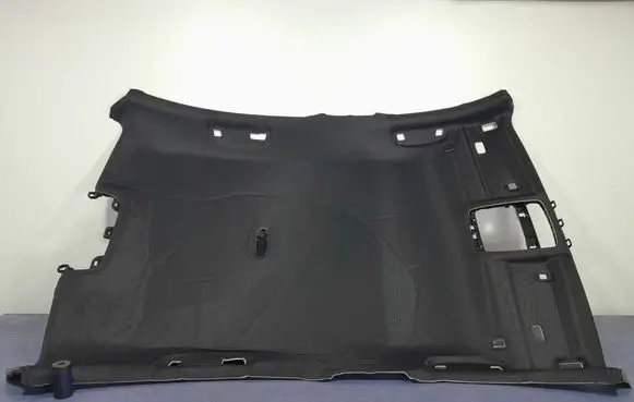 BMW M3 Headlining 8079196