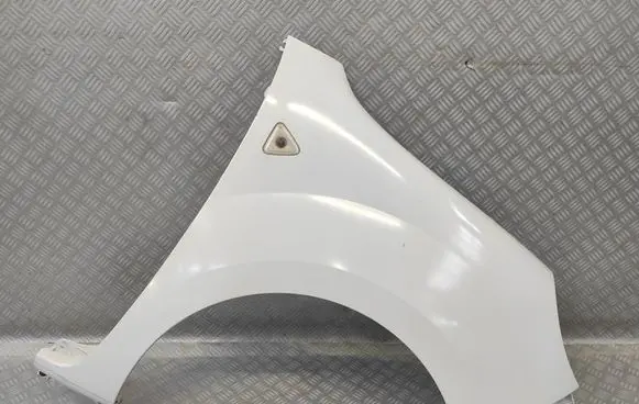 Renault Kangoo II Fender