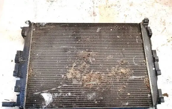 Renault Scenic II - Grand scenic II Coolant radiator