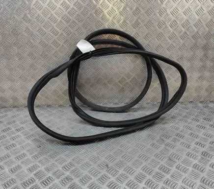Opel Movano C Rubber seal front coupe door 93168082