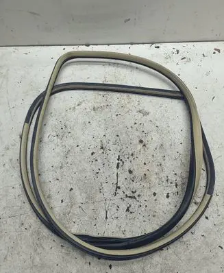 Infiniti EX Front door rubber seal 
