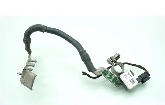 Other wiring loom