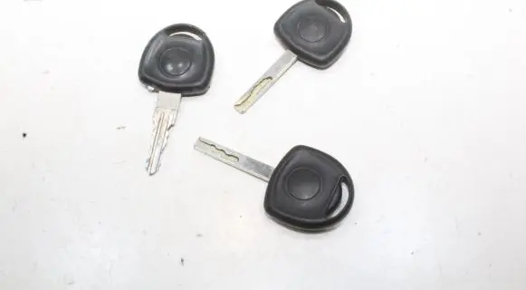 Volkswagen Golf IV Ignition key/card 