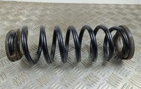 Rear coil spring